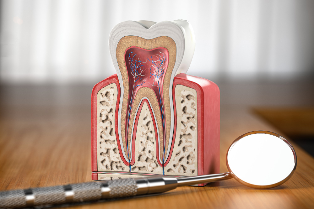 Root canal treatment in Sugar Land, TX